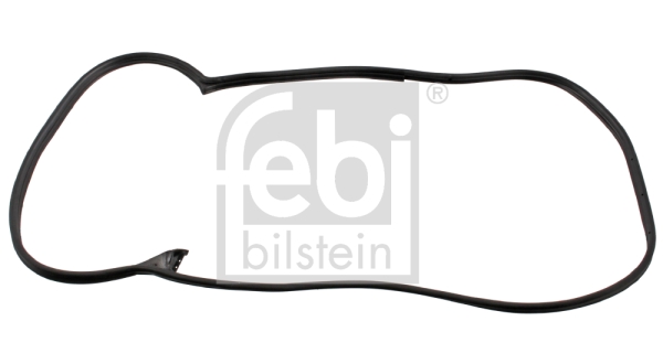Febi 08875 Door Seal (Front Lh)