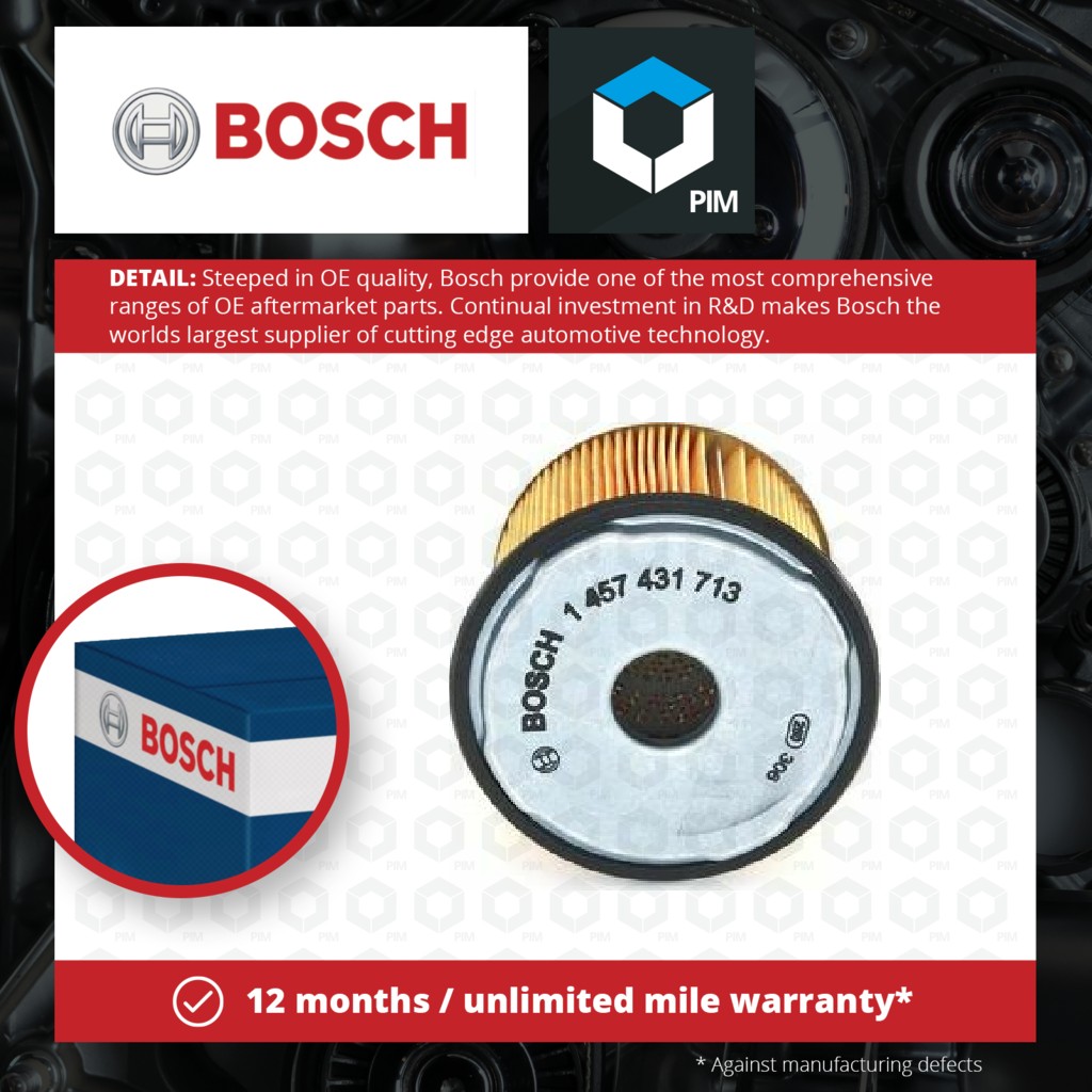 2x Bosch Fuel Filter 1457431713 [PM541170]