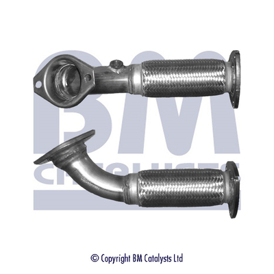 BM Catalysts BM70549