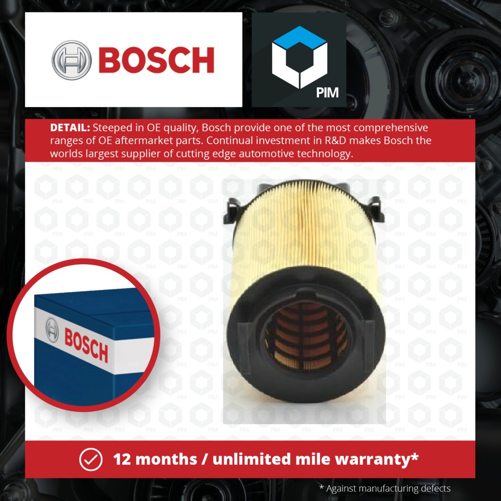 2x Bosch Air Filter 1987429405 [PM254941]