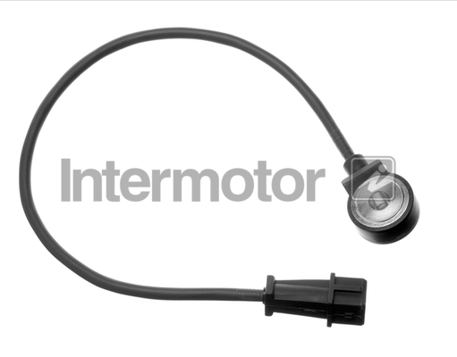 Intermotor Knock Sensor 19513 [PM457199]