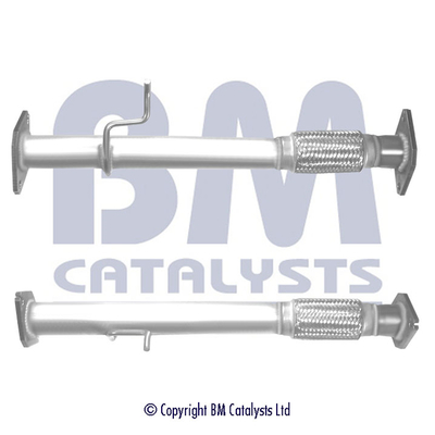 BM Catalysts BM50211