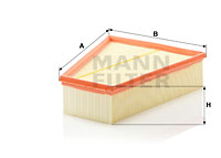 Mann Air Filter C30161 [PM358175]