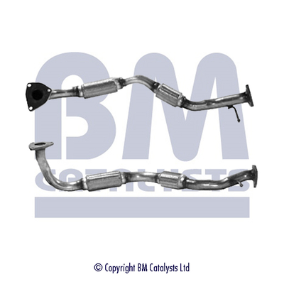 BM Catalysts BM70231