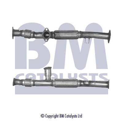 BM Catalysts BM70211