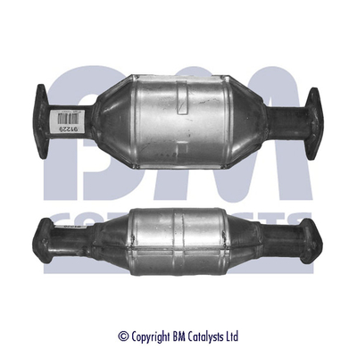 BM Catalysts BM91229