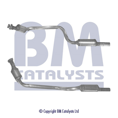 BM Catalysts BM91217