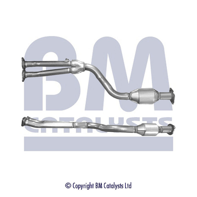 BM Catalysts BM91173