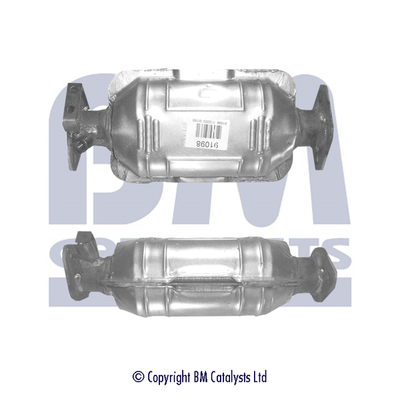 BM Catalysts BM91098