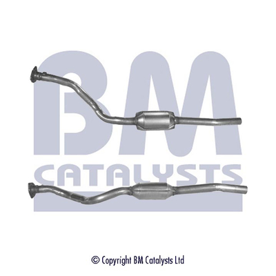 BM Catalysts BM91009