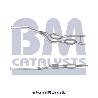 BM Catalysts BM90489