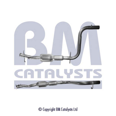 BM Catalysts BM90366