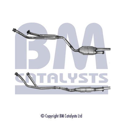 BM Catalysts BM90789