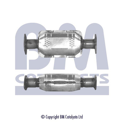 BM Catalysts BM90667