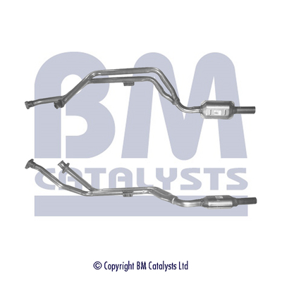 BM Catalysts BM80191