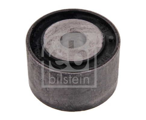 Febi 10843 Differential Mounting
