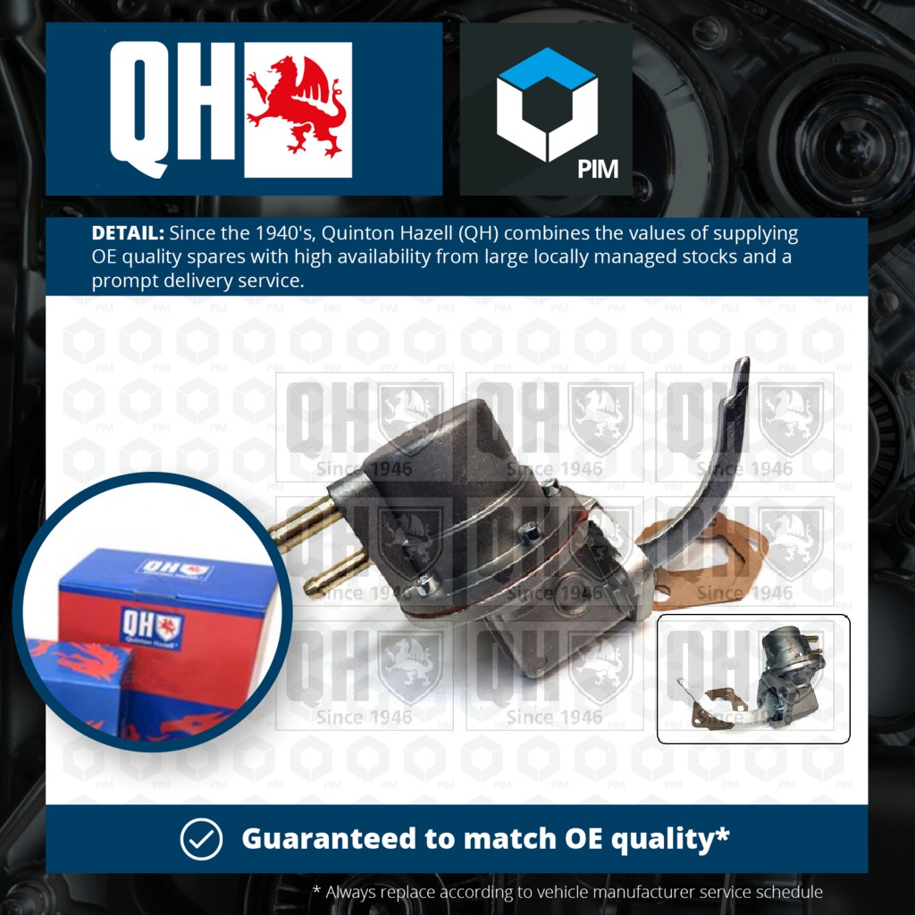 Quinton Hazell Fuel Pump QFP19 [PM232431]