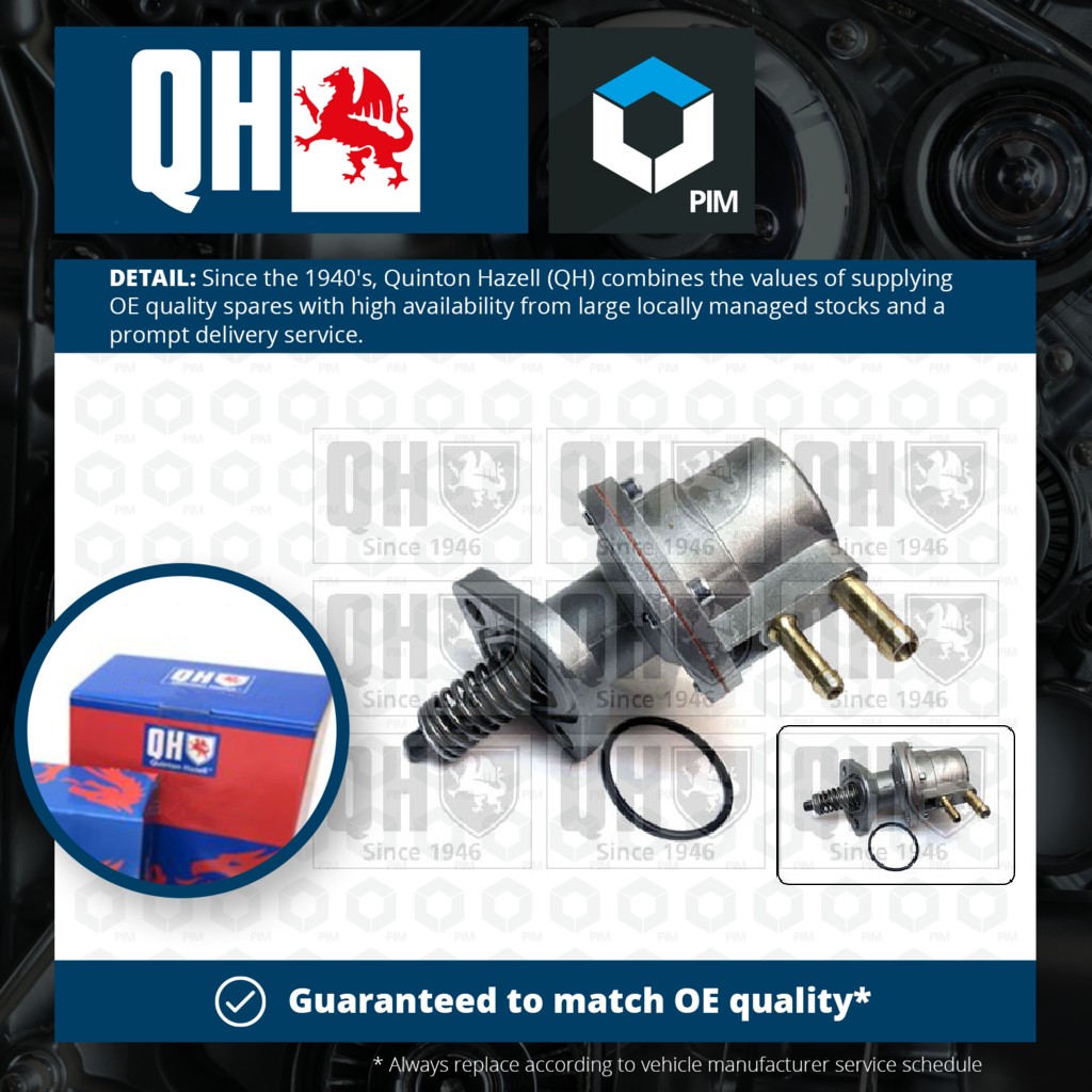 Quinton Hazell Fuel Pump QFP101 [PM213974]