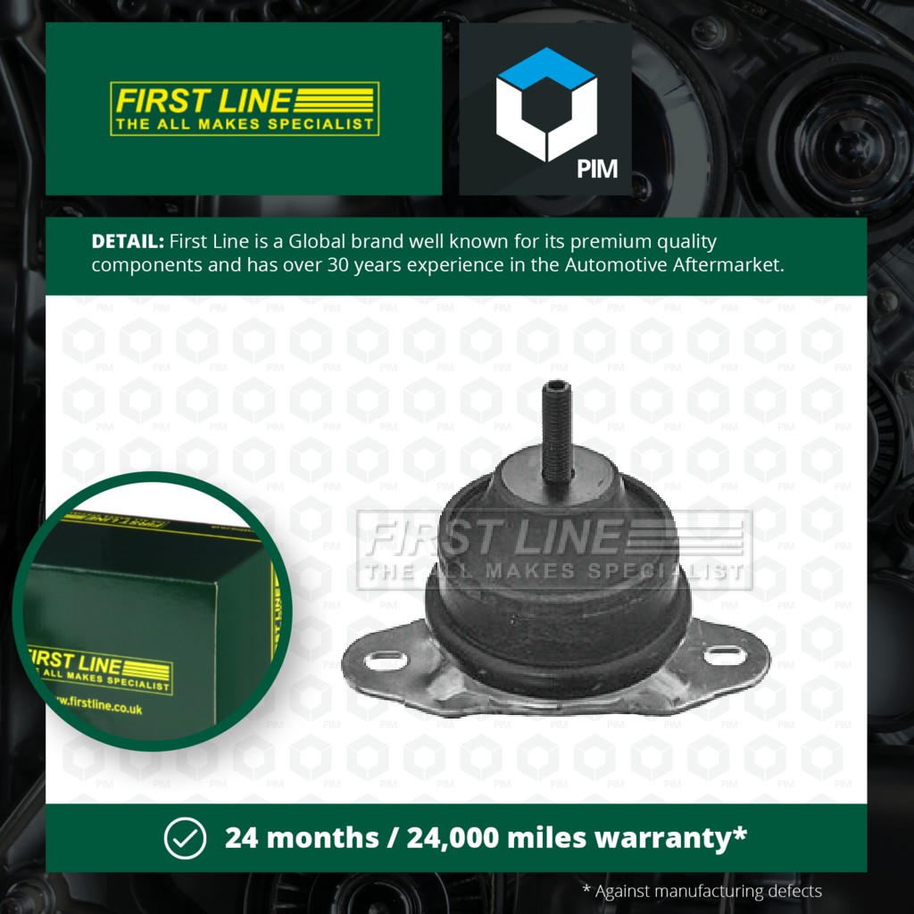 First Line Engine Mount Front Right FEM3911 [PM145864]