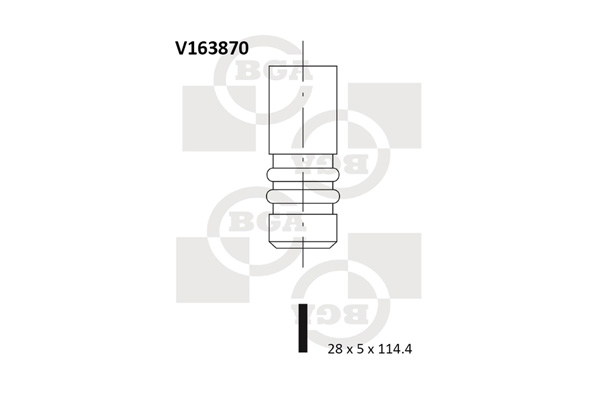 BGA V163870