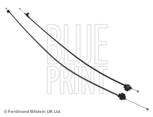 Blue Print ADN19356
