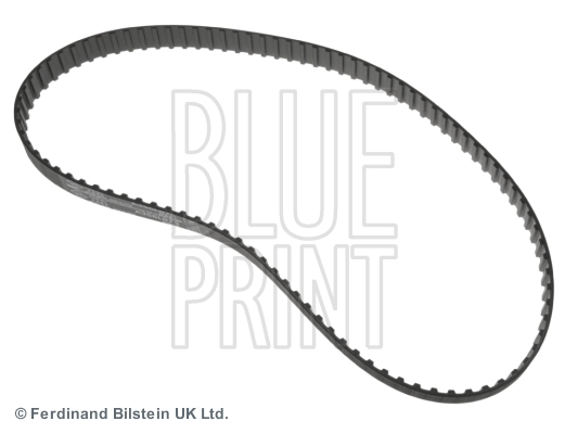Blue Print ADN17506