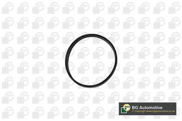 BGA Inlet Manifold Gasket RW3399 [PM314825]