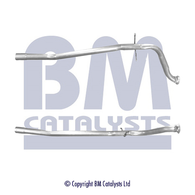 BM Catalysts BM50031