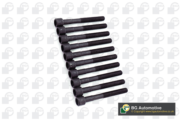 BGA Cylinder Head Bolts BK5376 [PM120710]