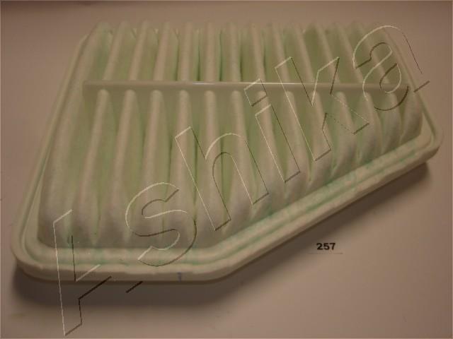 Ashika Air Filter 20-02-257 [PM2185627]