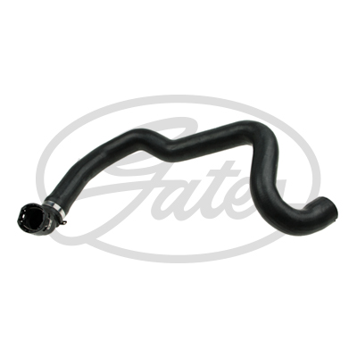 Gates Radiator Hose Lower 05-3980 [PM2232451]