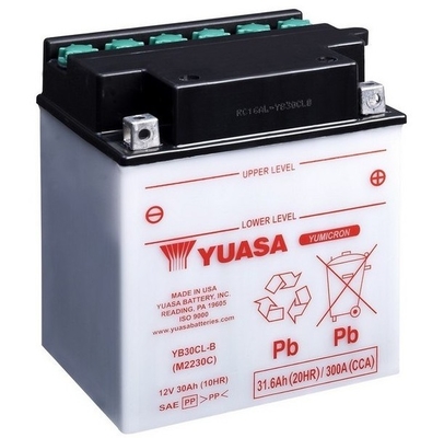 Yuasa YB30CL-B