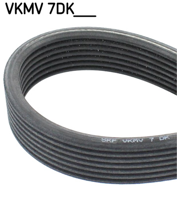 SKF VKMV7DK1884