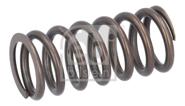Febi 188166 Valve Spring