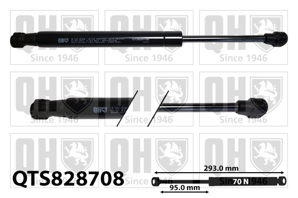 Quinton Hazell QTS828708 Gas Spring Tray (Boot/Cargo Bay)