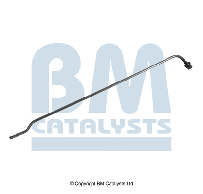 BM Catalysts PP31031B