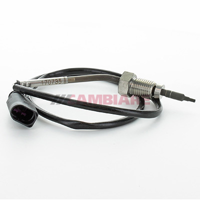 Cambiare Exhaust Temperature Sensor VE390275 [PM2429329]