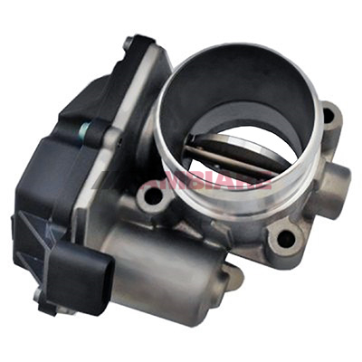 Cambiare Throttle Body VE378039 [PM2429182]