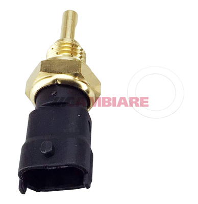 Cambiare Coolant Temperature Sensor VE718191 [PM1609471]