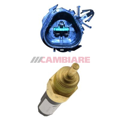 Cambiare Coolant Temperature Sensor VE718183 [PM840320]