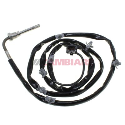 Cambiare Exhaust Temperature Sensor VE390033 [PM722452]