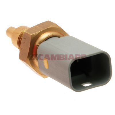 Cambiare Coolant Temperature Sensor VE375028 [PM126355]