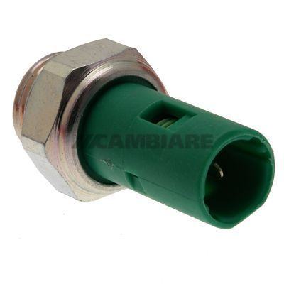 Cambiare Oil Pressure Switch VE706044 [PM126296]