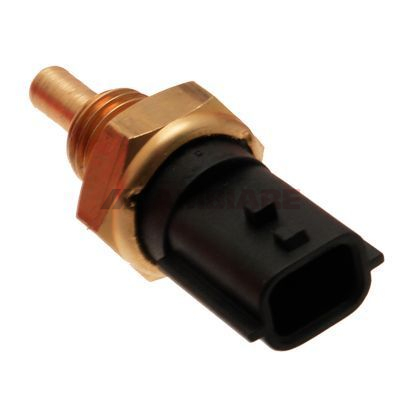 Cambiare Coolant Temperature Sensor VE375151 [PM125376]