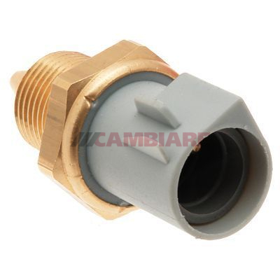 Cambiare Coolant Temperature Sensor VE375064 [PM125356]