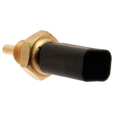 Cambiare Coolant Temperature Sensor VE375027 [PM125347]