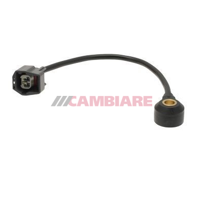 Cambiare Knock Sensor VE369055 [PM125095]