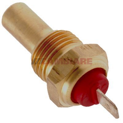 Cambiare Coolant Temperature Sensor VE718042 [PM124386]