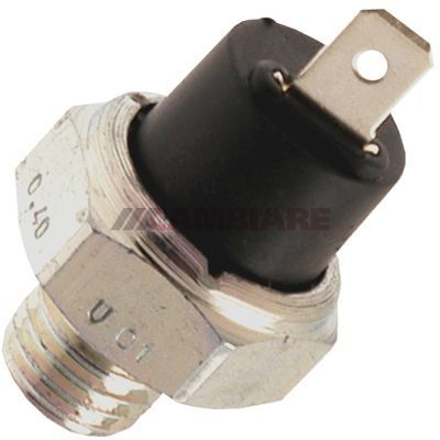 Cambiare Oil Pressure Switch VE706070 [PM124291]