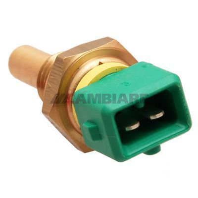 Cambiare Coolant Temperature Sensor VE375104 [PM123351]